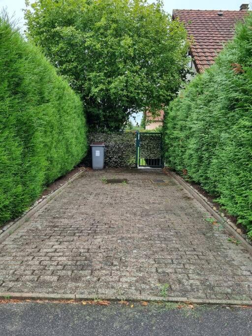 Gemuetliche Oase - Geraeumige Unterkunft Sarreguemines Extérieur photo