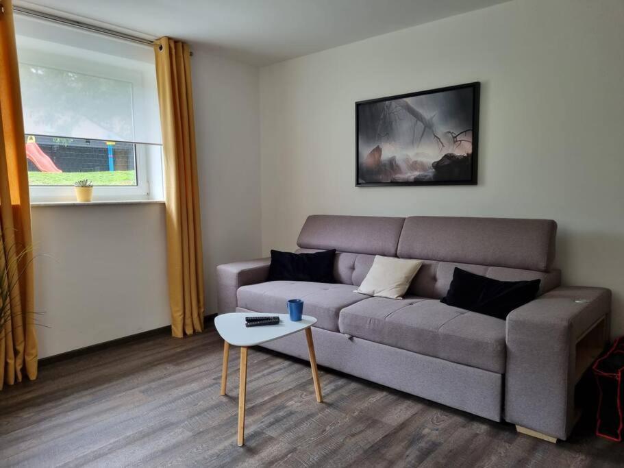 Gemuetliche Oase - Geraeumige Unterkunft Sarreguemines Extérieur photo