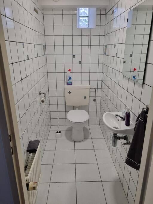 Gemuetliche Oase - Geraeumige Unterkunft Sarreguemines Extérieur photo